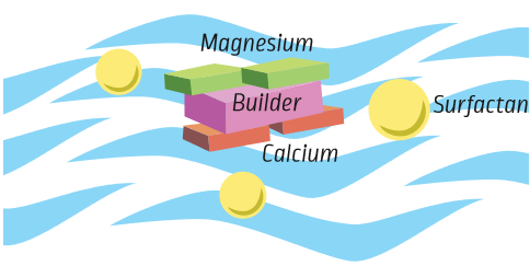 Builders attract magnesium and calcium