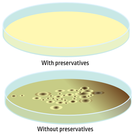 Petri dishes with and without preservatives