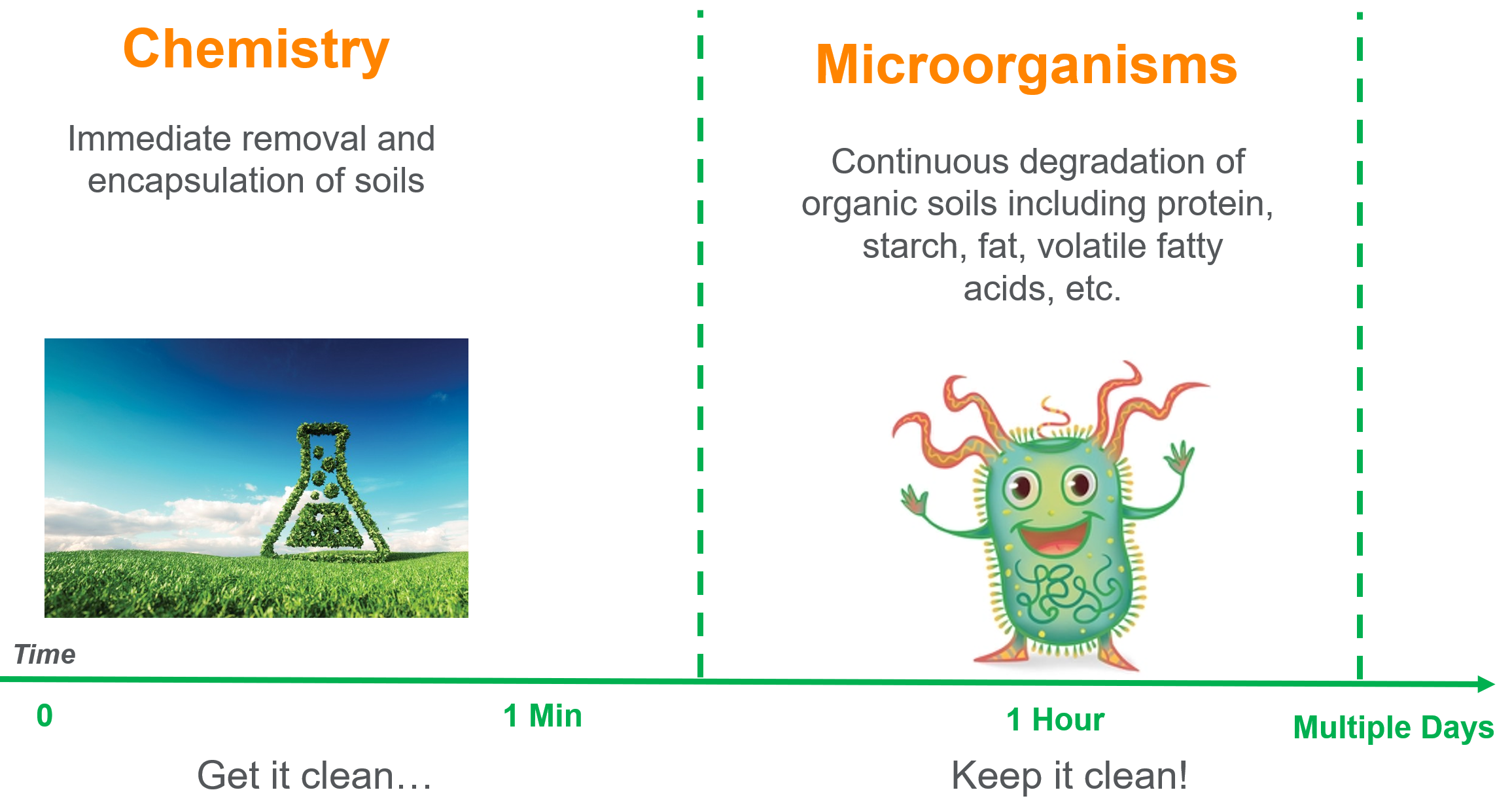 Microbial-based cleaner timeline