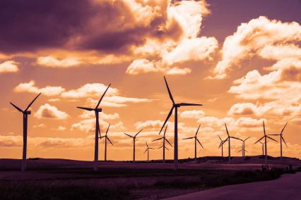 Windmills at sunset